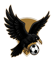 Carregar imagem no visualizador da galeria, FANTASY LEAGUE EGOMES DIGITAL DA INDEPENDÊNCIA