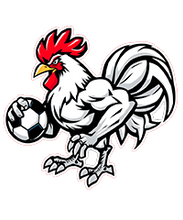 Carregar imagem no visualizador da galeria, FANTASY LEAGUE EGOMES DIGITAL DA INDEPENDÊNCIA