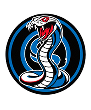 Carregar imagem no visualizador da galeria, FANTASY LEAGUE EGOMES DIGITAL DA INDEPENDÊNCIA