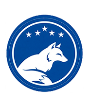 Carregar imagem no visualizador da galeria, FANTASY LEAGUE EGOMES DIGITAL DA INDEPENDÊNCIA