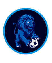 Carregar imagem no visualizador da galeria, FANTASY LEAGUE EGOMES DIGITAL DA INDEPENDÊNCIA
