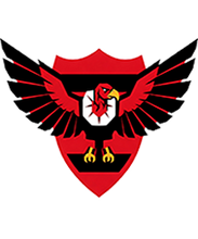 Carregar imagem no visualizador da galeria, FANTASY LEAGUE EGOMES DIGITAL DA INDEPENDÊNCIA
